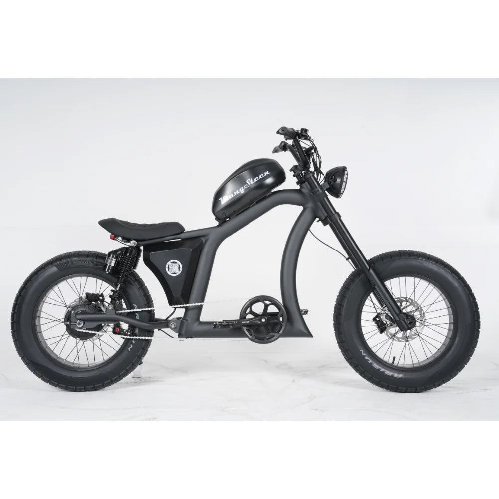 FT-02 E-Bike | BlitzBikes – Fat Tire Cruiser 25 km/u