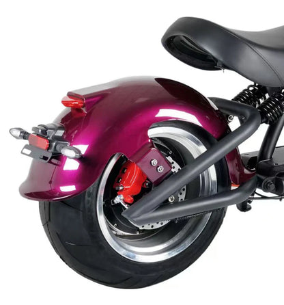 Pimp Your BlitzBike – Premium Fender Set