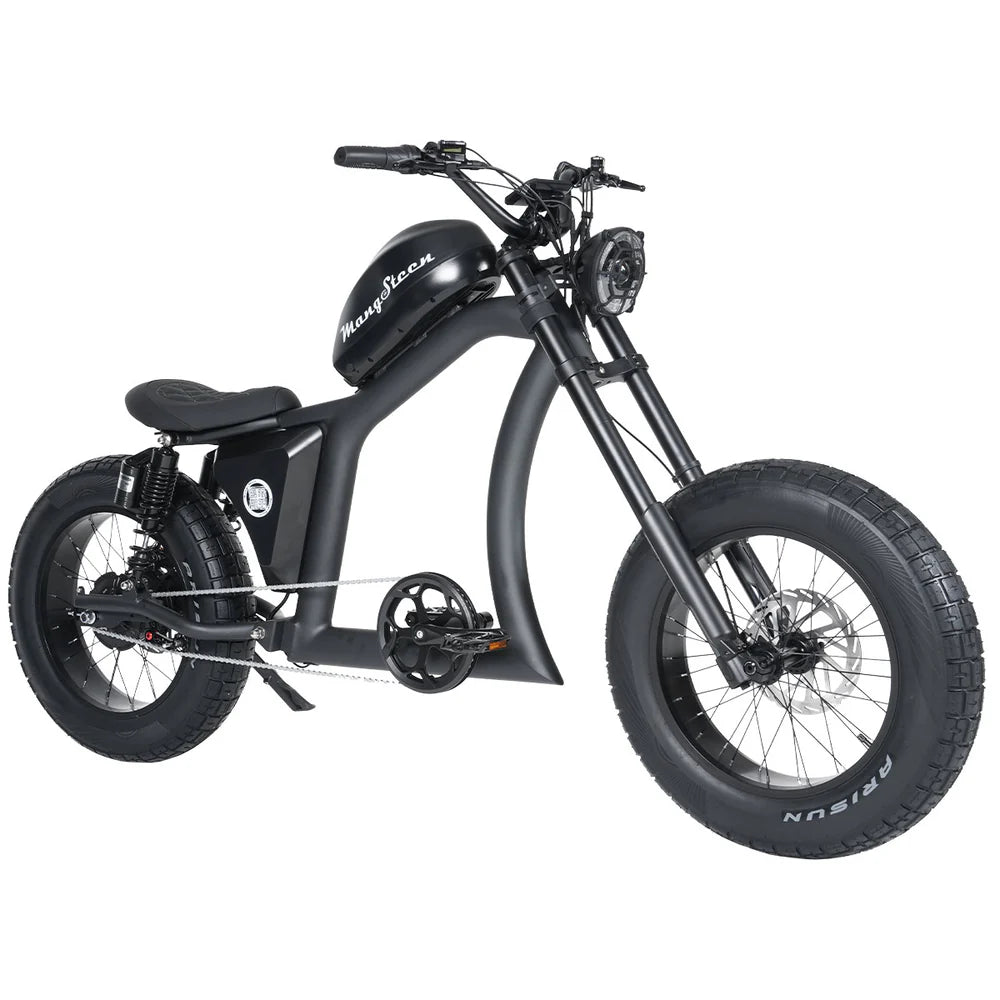 FT-02 E-Bike | BlitzBikes – Fat Tire Cruiser 25 km/u